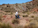 Grupo Mineralógico de Alicante.  Loma Badá. Petrer. Alicante    