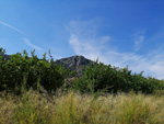 Grupo Mineralógico de Alicante. Valle de Ricote. Murcia