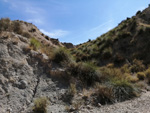 Grupo Mineralógico de Alicante. Valle de Ricote. Murcia