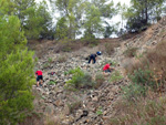 Grupo Mineralógico de Alicante. Explotacion de Ofitas. Sierra de Olta. Calpe.. Alicante