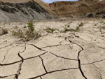 Grupo Mineralógico de Alicante. Explotacion de arcillas Los Morteros. Aspe. Alicante