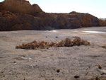 Grupo Mineralógico de Alicante.Explotación de de áridos de Holcin. El Cabezonet. Busot. Alicante

 