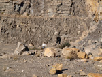 Grupo Mineralógico de Alicante.Explotación de de áridos de Holcin. El Cabezonet. Busot. Alicante

 