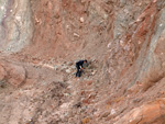 Grupo Mineralógico de Alicante. Cantera el Chicano. Macisvenda. Murcia

