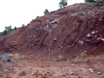 Grupo Mineralógico de Alicante. Cantera el Chicano. Macisvenda. Murcia


