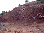 Grupo Mineralógico de Alicante. Cantera el Chicano. Macisvenda. Murcia

