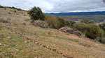 Palazuelo de las Cuevas. Zamora

