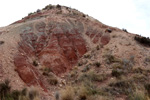 Grupo Mineralógico de Alicante.    Loma Badá. Petrer. Alicante  