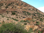 Grupo Mineralógico de Alicante. Minería de Hierro. Cabezo Gordo de Torrepacheco. Torrepacheco. Murcia   