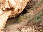 Grupo Mineralógico de Alicante. Minería de Hierro. Cabezo Gordo de Torrepacheco. Torrepacheco. Murcia   