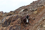 Grupo Mineralógico de Alicante.Corta Gloria y San Valentín. Sierra Minera de Cartagena la Union