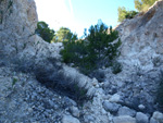Grupo Mineralógico de Alicante. Sierra de Hurchillo. Orihuela. Alicante 