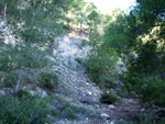 Grupo Mineralógico de Alicante. Sierra de Hurchillo. Orihuela. Alicante 