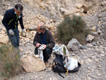 Grupo Mineralógico de Alicante.Cantera de Áridos Holcin. Busot. Alicante