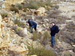 Grupo Mineralógico de Alicante.Cantera de Áridos Casablanca. San Vicente del Raspeig. Alicante