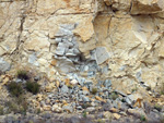 Grupo Mineralógico de Alicante.Cantera de Áridos Casablanca. San Vicente del Raspeig. Alicante 