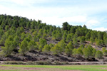 Grupo Mineralógico de Alicante. Afloramiento de Aragonito. Casas de Ves. Albacete. Alicante 