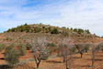 Grupo Mineralógico de Alicante. Afloramiento de Aragonito. Casas de Ves. Albacete. Alicante 