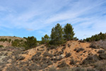 Grupo Mineralógico de Alicante.Afloramiento de Aragonito. Casas de Ves. Albacete. Alicante 