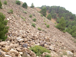 Grupo Mineralógico de Alicante.  Los Pajaritos. La Unión. Murcia  