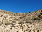 Grupo Mineralógico de Alicante.  Paraje de El Salt.Jijona. Alicante  