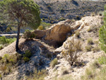 Grupo Mineralógico de Alicante.    Afloramiento de Aragonito. Casas de Ves. Albacete  