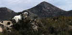 Grupo Mineralógico de Alicante.Cantera de Áridos Holcin. Busot. Alicante