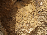 Grupo Mineralógico de Alicante.Cantera de Áridos Holcin. Busot. Alicante 