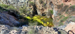 Grupo Mineralógico de Alicante. Mina La Teodora. Villena. Alicante