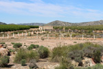 Grupo Mineralógico de Alicante. Mina La Teodora. Villena. Alicante 