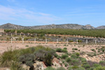 Grupo Mineralógico de Alicante.  Mina La Teodora. Villena. Alicante 