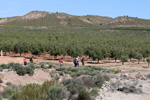 Grupo Mineralógico de Alicante.  Mina La Teodora. Villena. Alicante 