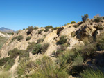 Grupo Mineralógico de Alicante.  Afloramiento de Celestina. Barranco del Mulo. Ulea. Murcia 