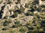 Grupo Mineralógico de Alicante.   Afloramiento de Celestina. Barranco del Mulo. Ulea. Murcia  