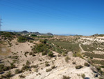 Grupo Mineralógico de Alicante. Afloramiento de Celestina. Barranco del Mulo. Ulea. Murcia