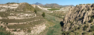 Grupo Mineralógico de Alicante. Afloramiento de Celestina. Barranco del Mulo. Ulea. Murcia