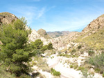 Grupo Mineralógico de Alicante.Paraje los Terreros. Valle de Ricote.Ojós. Murcia.