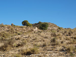 Grupo Mineralógico de Alicante. Explotaciones de yesos. Loma de las Indias. La Alcoraia. Alicante