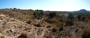 Grupo Mineralógico de Alicante. Explotaciones de yesos. Loma de las Indias. La Alcoraia. Alicante