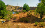 Grupo Mineralógico de Alicante. Mina Mina Victoria (Laguna de Ambroz). Canillejas-vicalvaro, Madrid