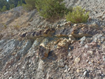 Grupo Mineralógico de Alicante. Cantera de la font de l'om. Oliva, Valencia