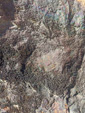 Grupo Mineralógico de Alicante. Cantera de la font de l'om. Oliva, Valencia