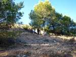 Grupo Mineralógico de Alicante. Exolotaciones de áridos y yeso. Cabezo del Polavar. Villena. Alicante