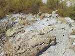Grupo Mineralógico de Alicante. Minas del Coto Menor. Hellín. Albacete