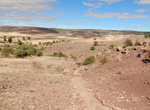 Grupo Mineralógico de Alicante. Yacimiento de goethitas de Toldelrábano, Guadalajara