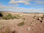 Grupo Mineralógico de Alicante. Yacimiento de goethitas de Toldelrábano, Guadalajara