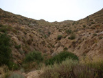 Grupo Mineralógico de Alicante.  Los Vives. Orihuela. Alicante 