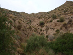 Grupo Mineralógico de Alicante. Los Vives. Orihuela. Alicante