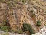 Grupo Mineralógico de Alicante. Los Vives. Orihuela. Alicante