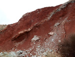 Grupo Mineralógico de Alicante. Afloramiento del Keuoer de Loma Badá. Petrer. Alicante